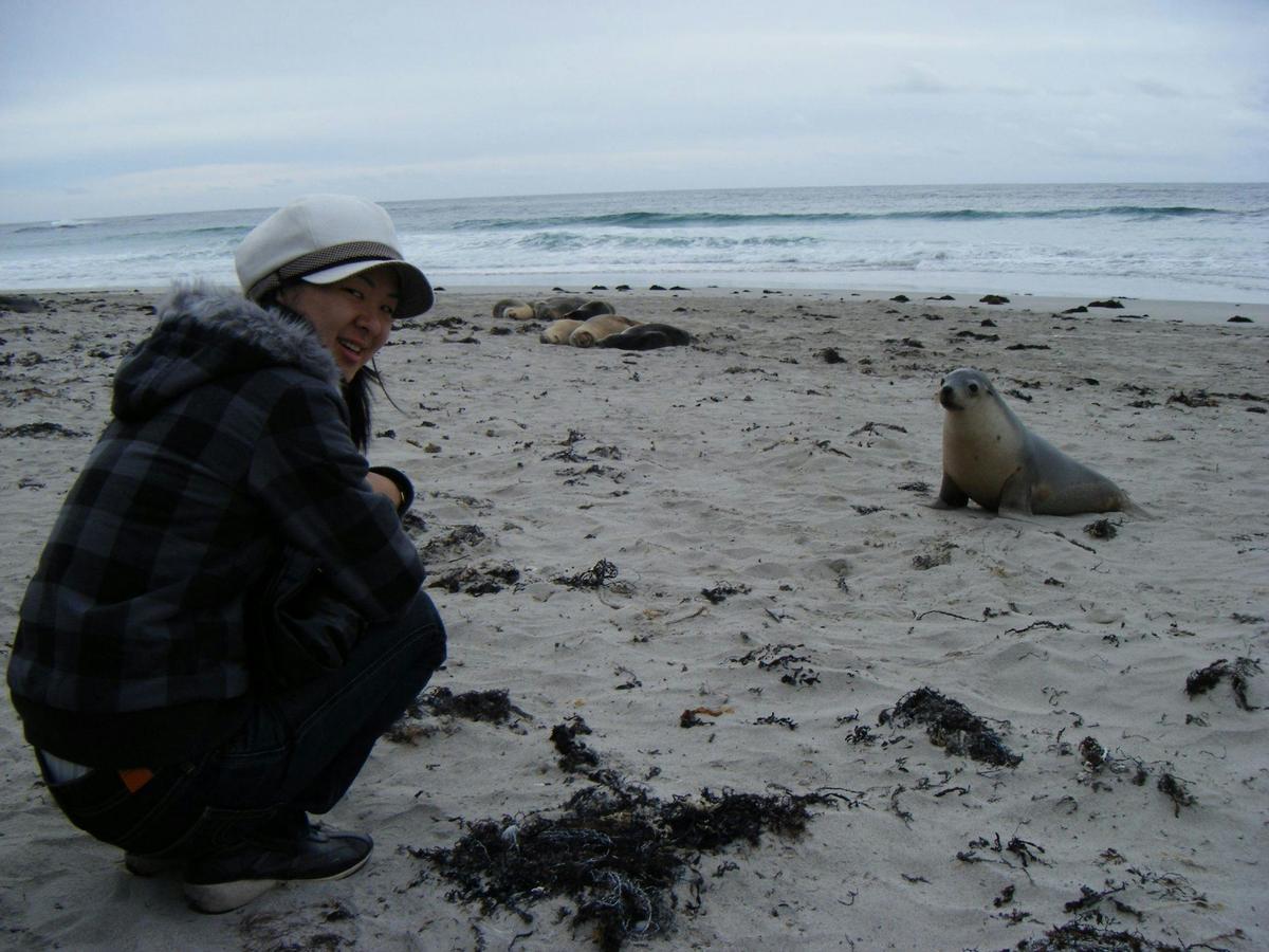Seal Bay