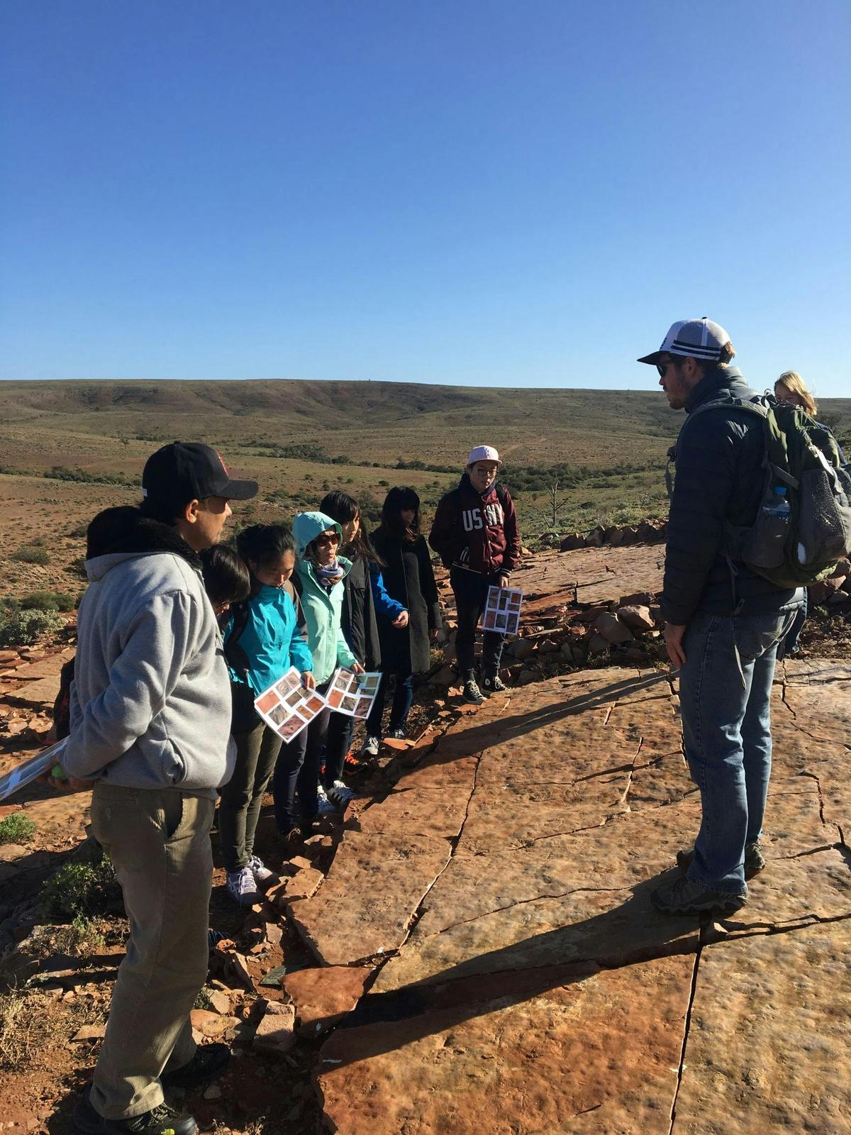 Ediacaran Fossil Tours