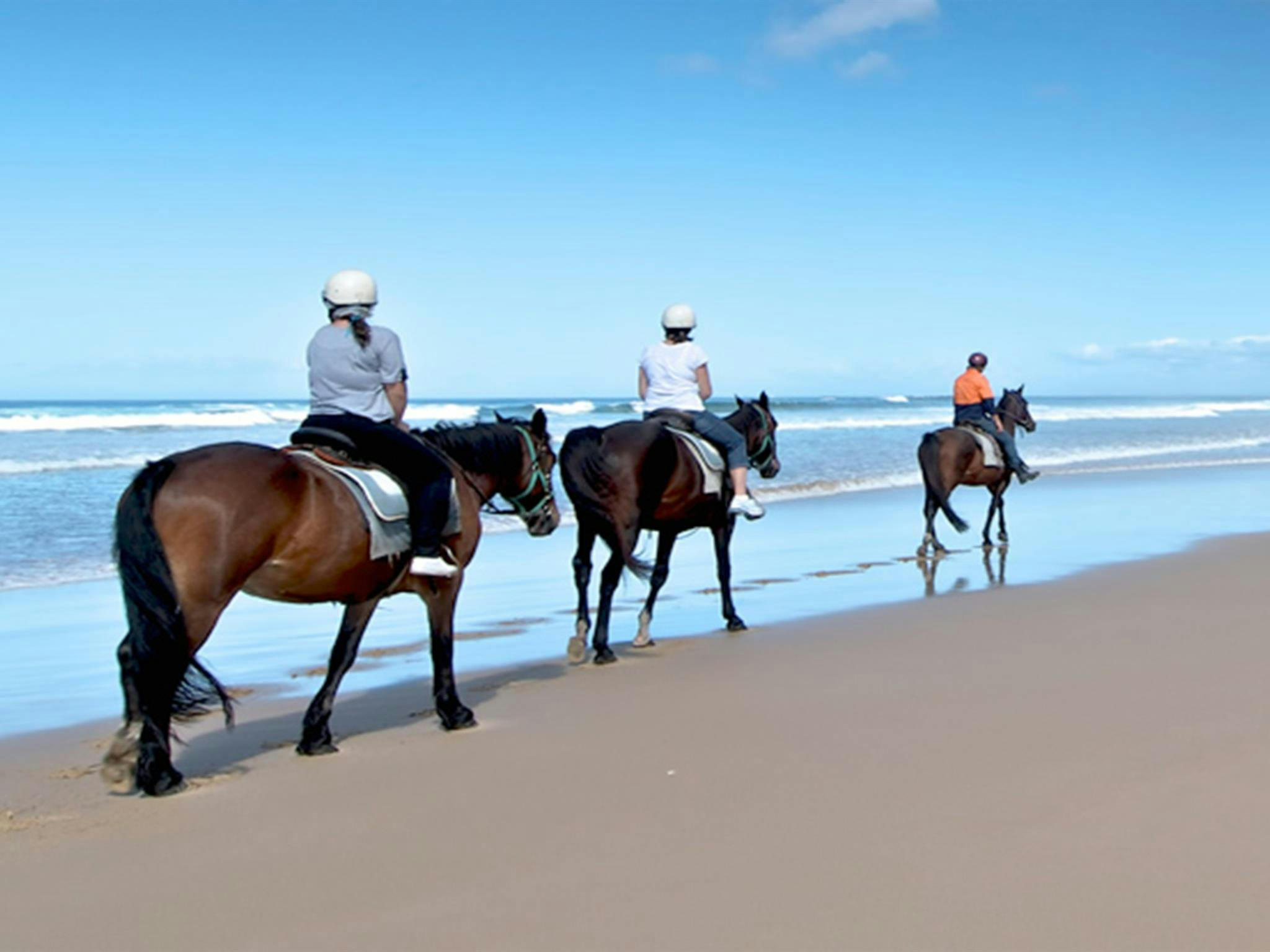 Worimi National Park