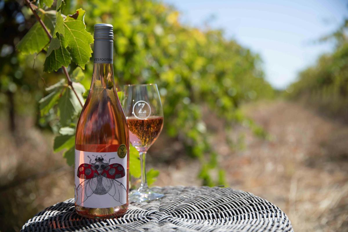 Scarlet Ladybird Rosé