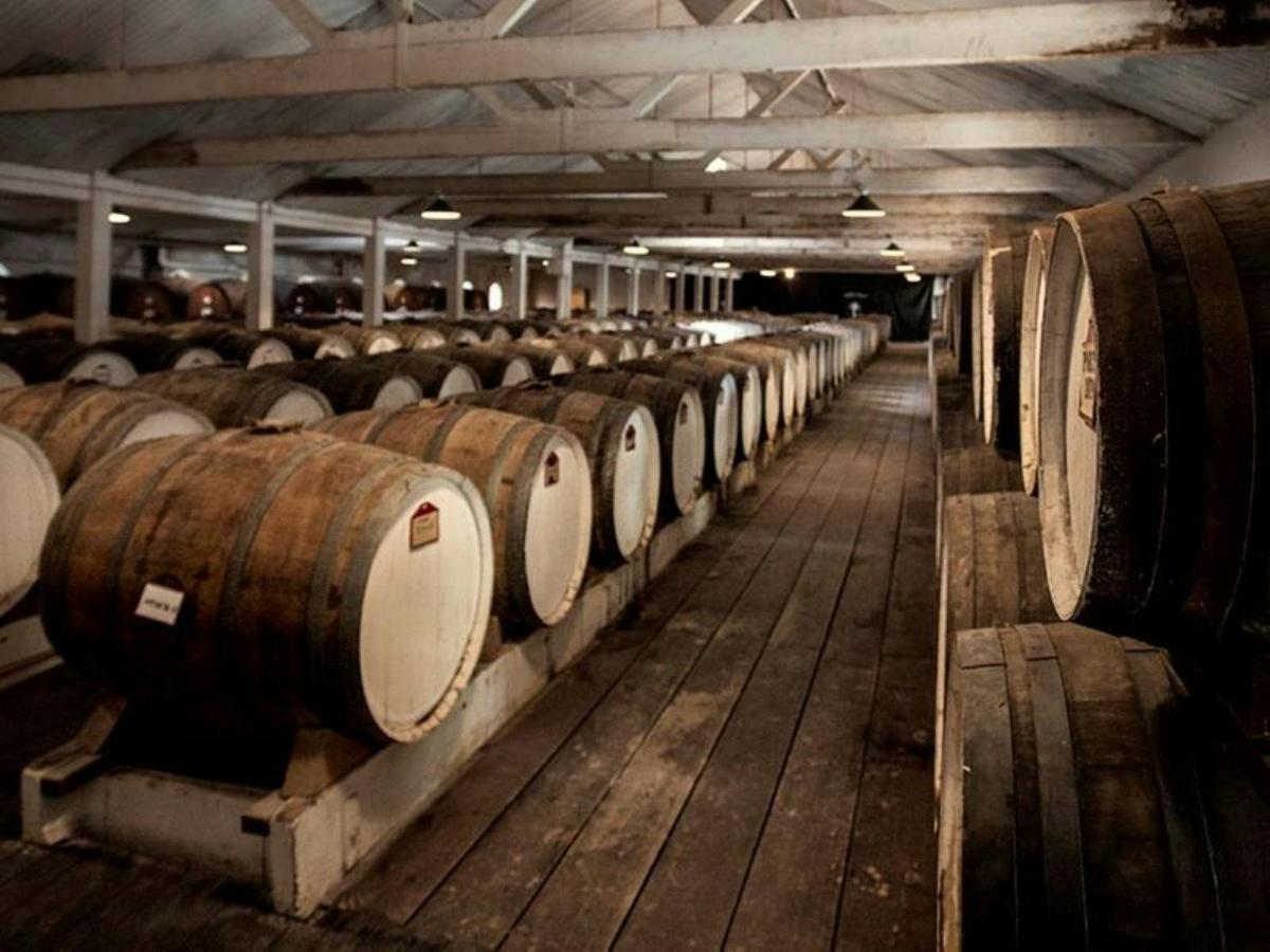 Wine tours - the way you like it!