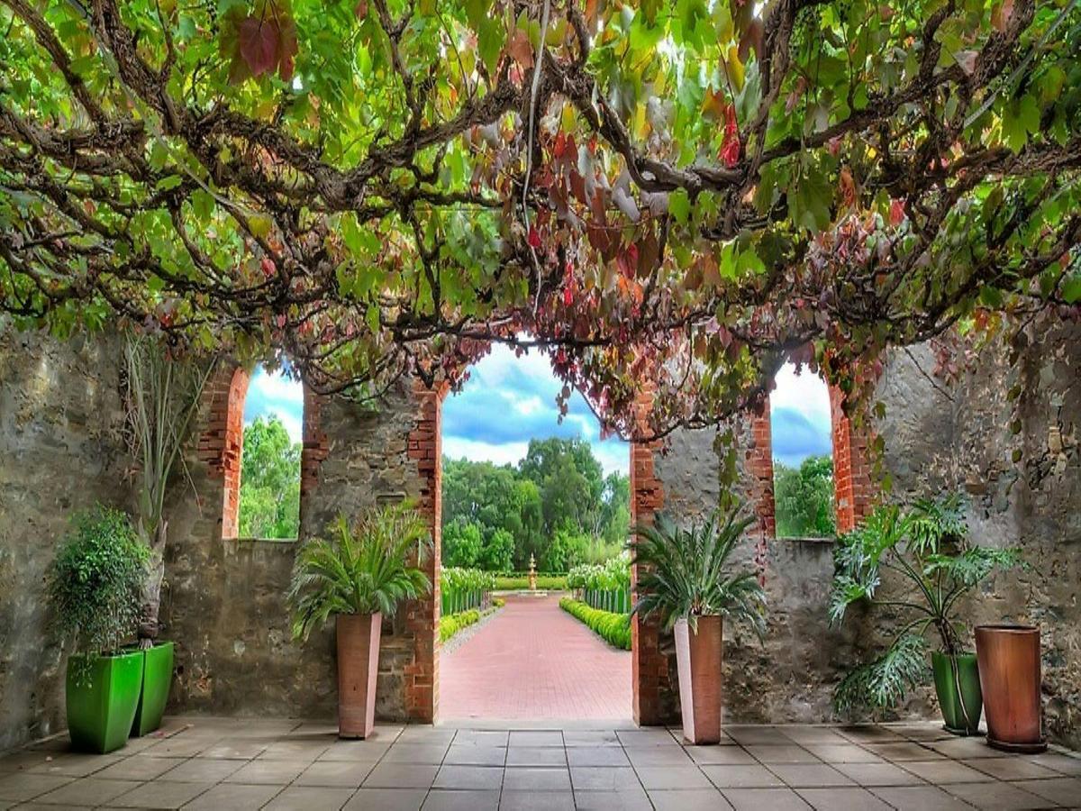 Barossa Valley 7-hour Fine Dining & Wine Tasting