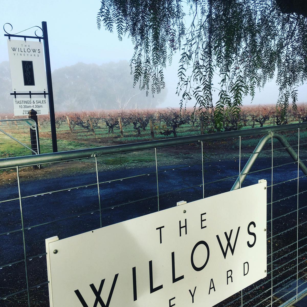 willows