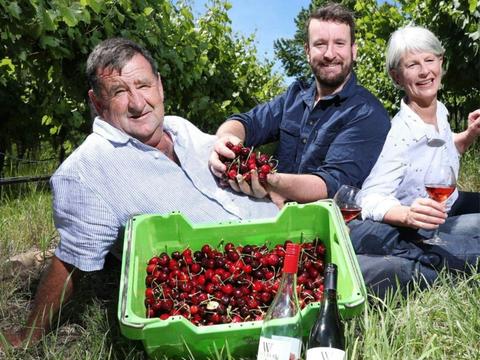 Wotton Family Wines