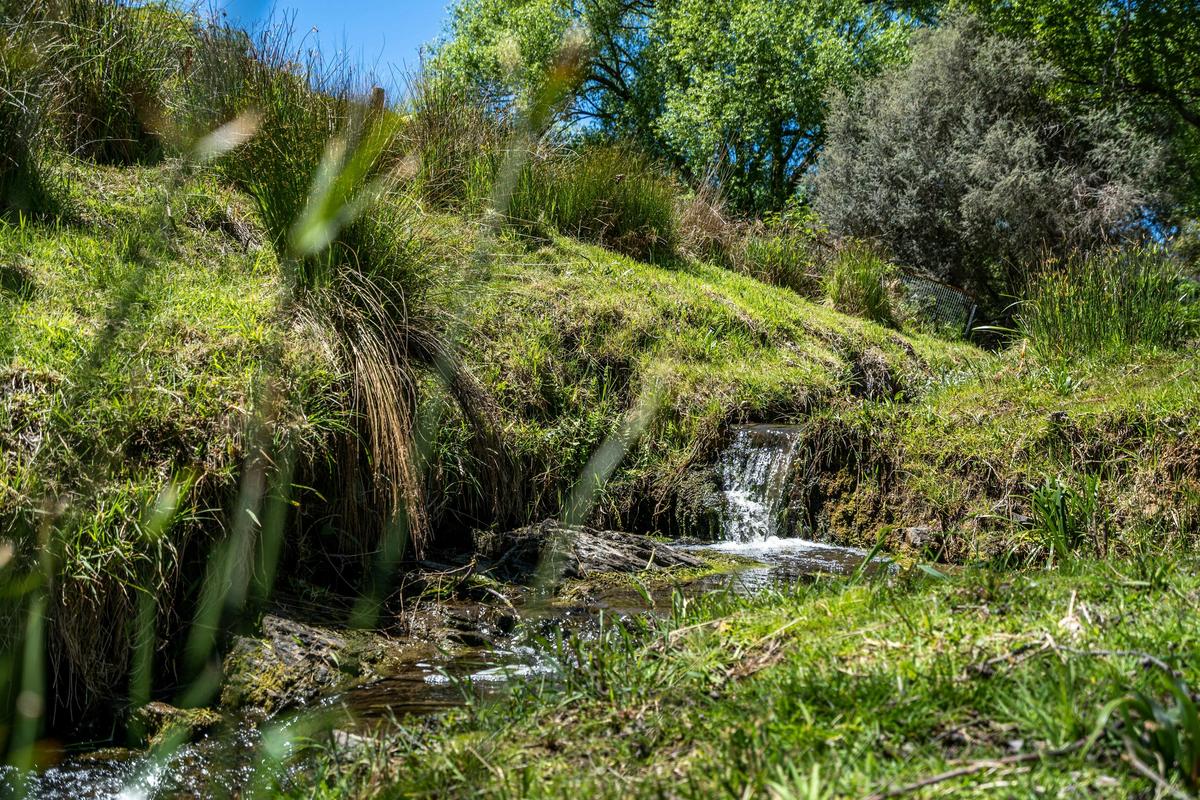 Yoho House is surrounded by two spring fed creeks