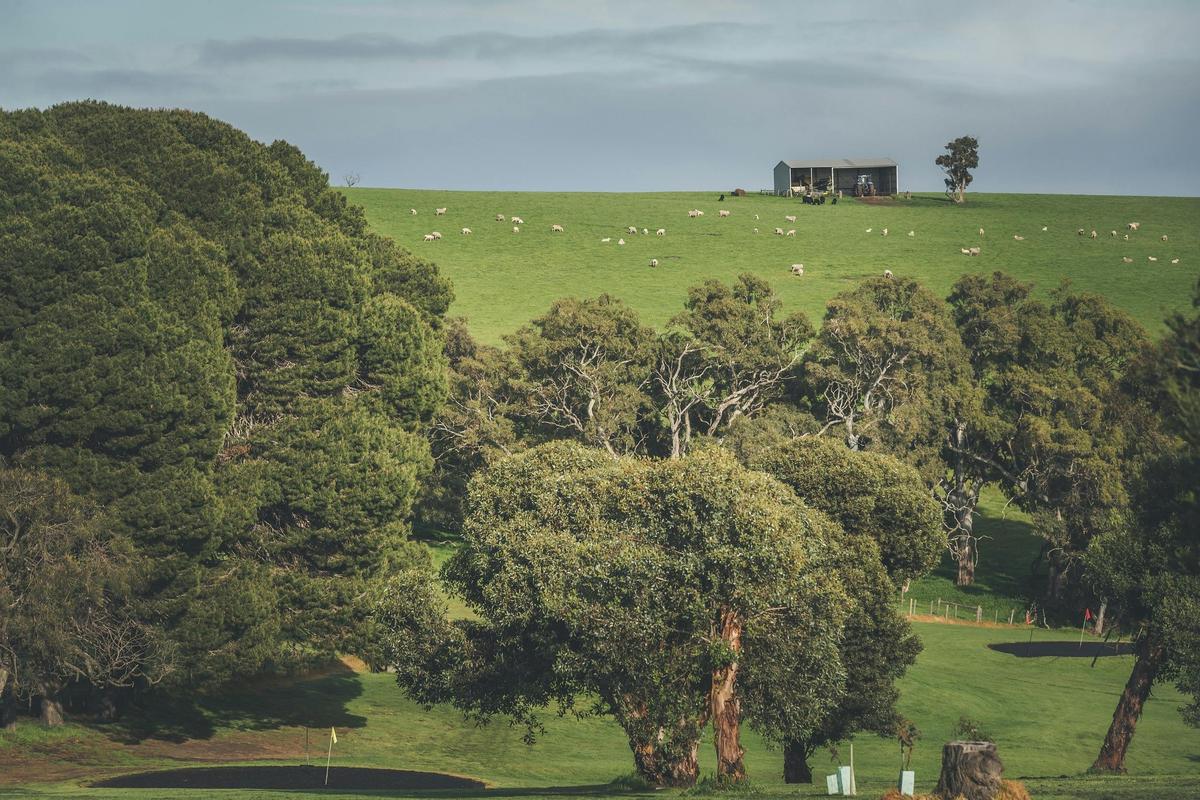 Down Hill shot to the scapes green