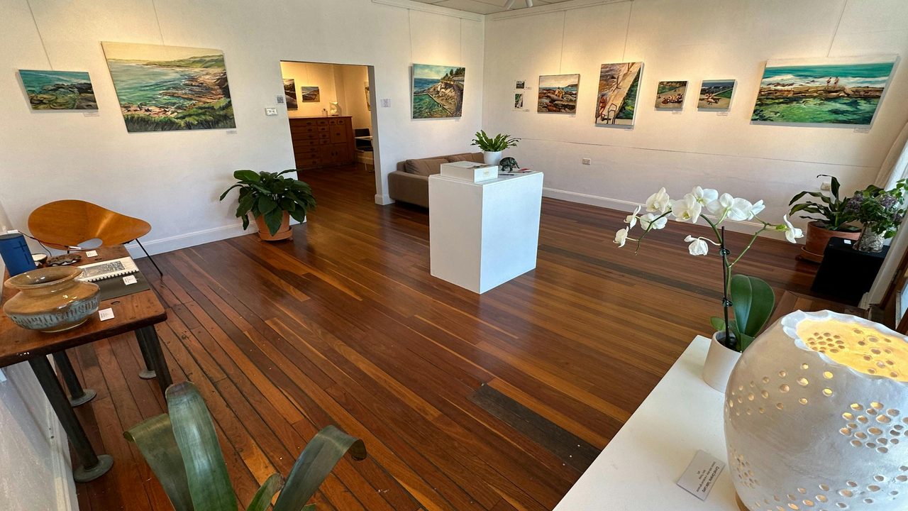 Tiliqua Tiliqua Exhbition Space with show hung.