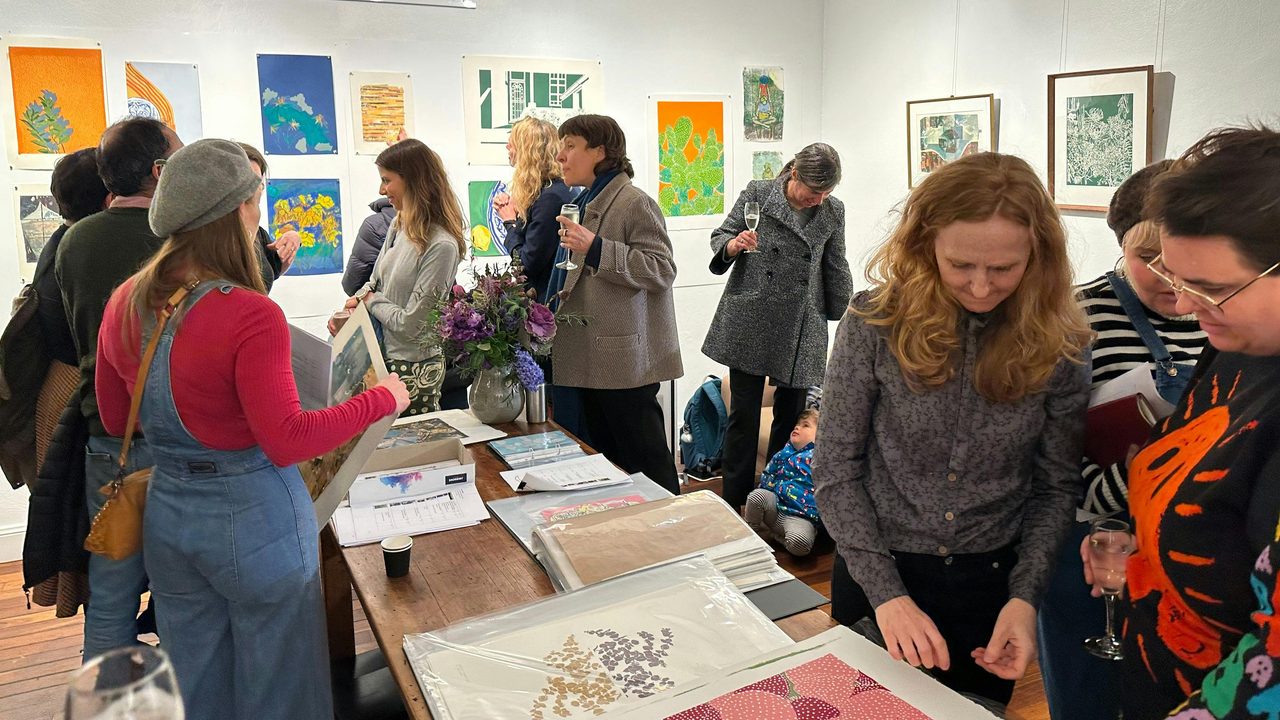 Tiliqua Studio
