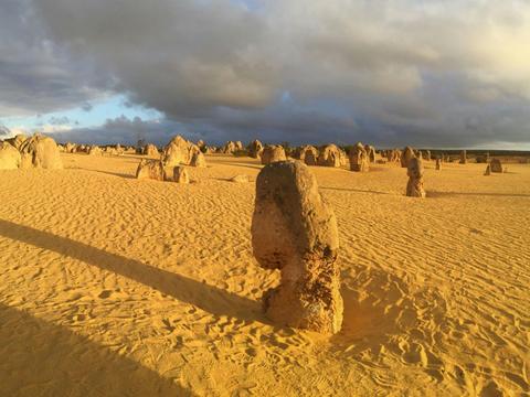 Pinnacles Day Tour