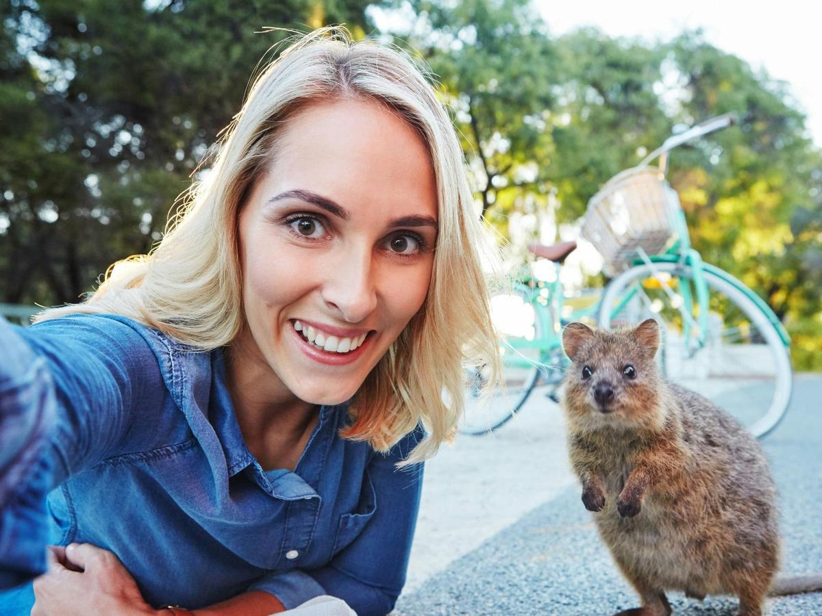 Perth to Fremantle City Tour with Rottnest Island and Swan River Cruise - French guided