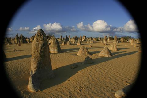 Pinnacles and Swan Valley Day Tour (with French speaking guide)