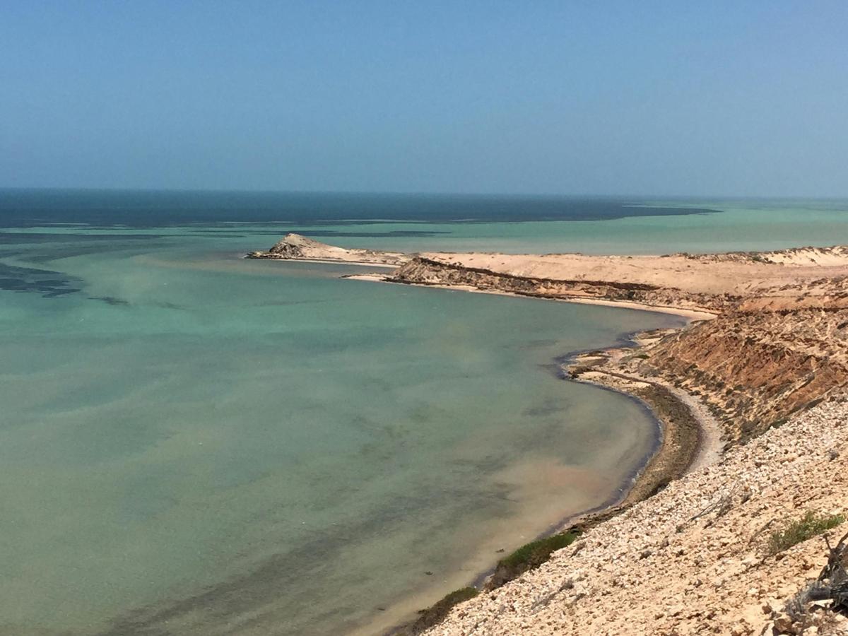 The outback meets the ocean