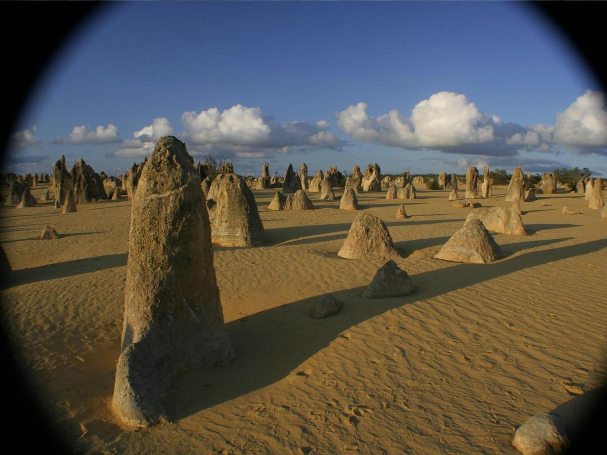 Pinnacles Day Tour (with French speaking guide)