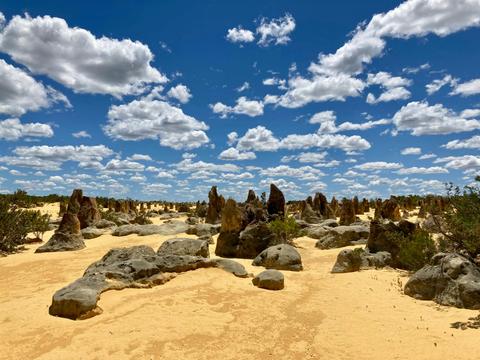 Pinnacles Day Tour (with German speaking  guide)