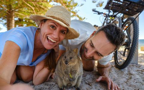 Quokkas Delight Rottnest Island Tour (with French speaking guide)
