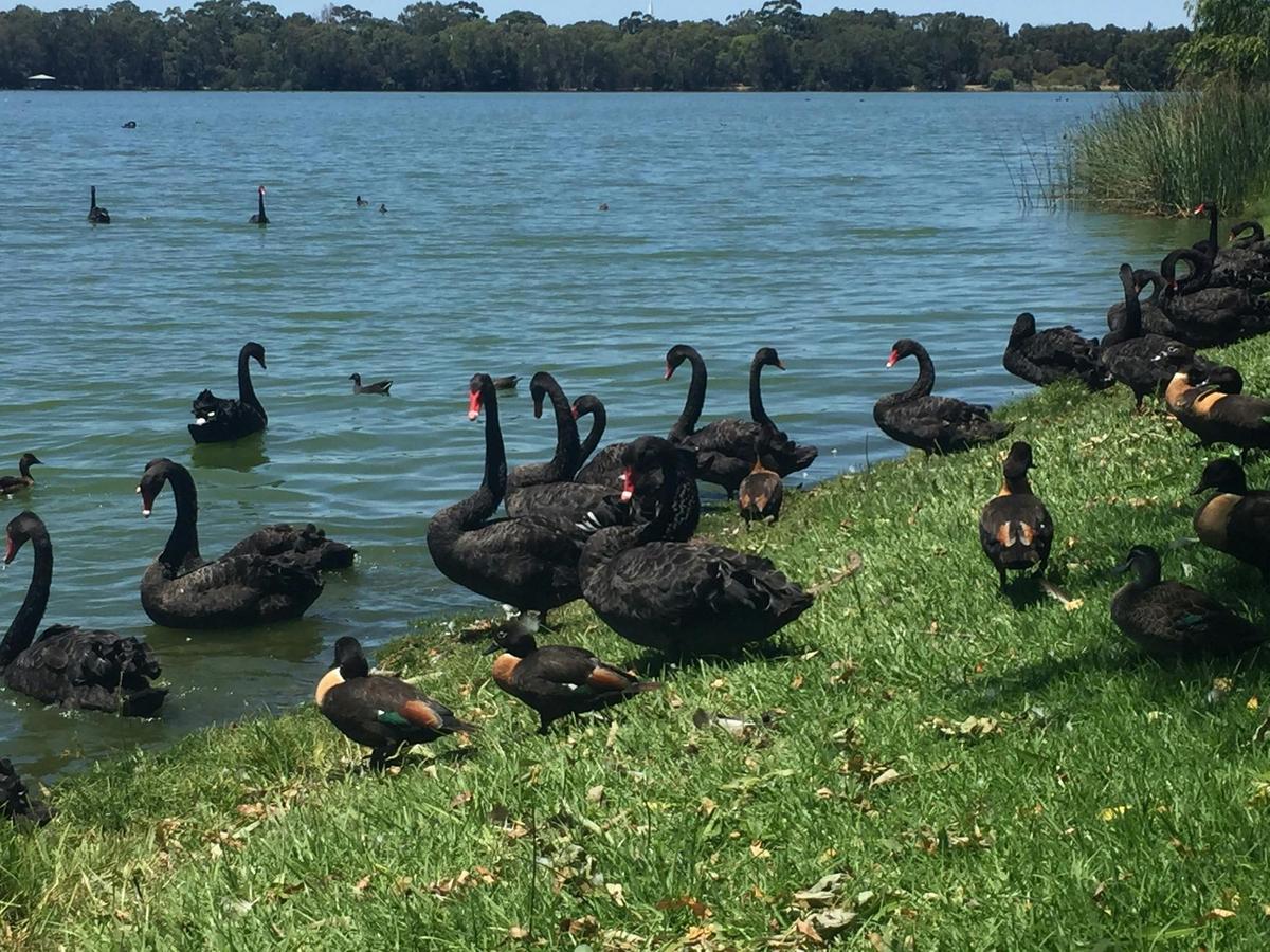 Perth City Tour