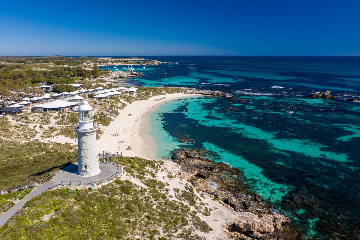 Quokkas Delight Rottnest Island Tour
