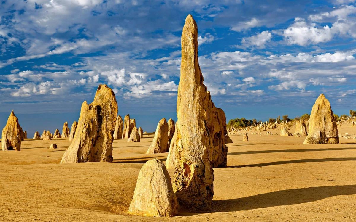 Pinnacles and Swan Valley Day Tour (with German speaking  guide)