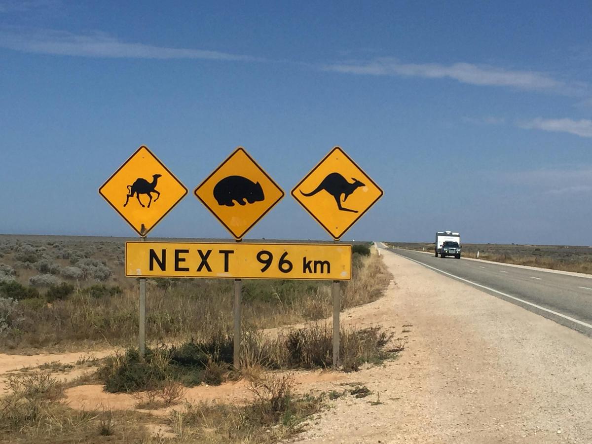 Nullarbor Plain