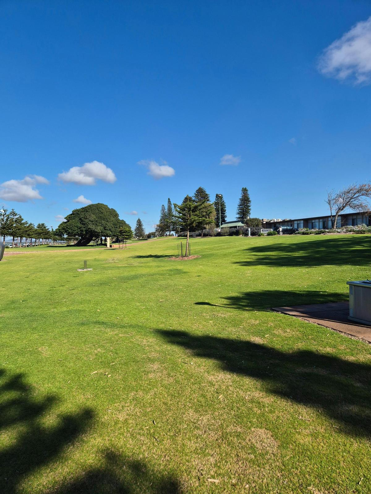 Whyalla Foreshore Lawn