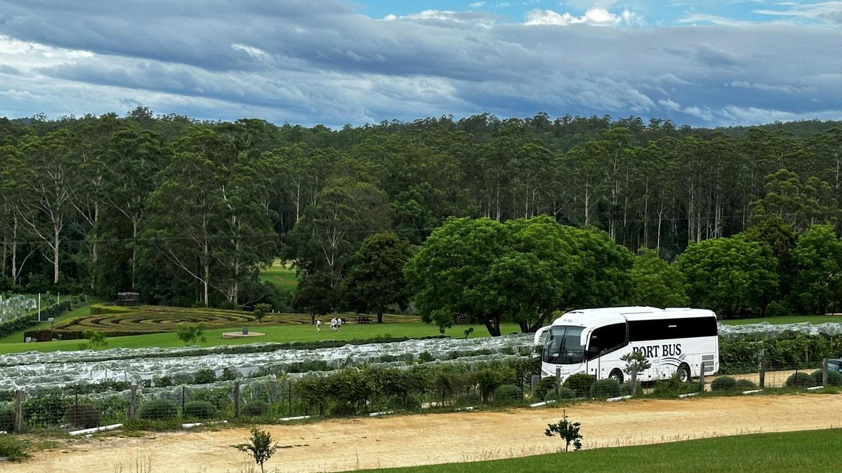 Port Bus