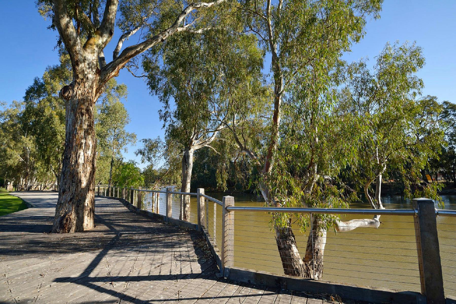 Barham Boardwalk and Murray River