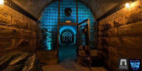Glow Tour at Tunnel Hill Mushrooms!
