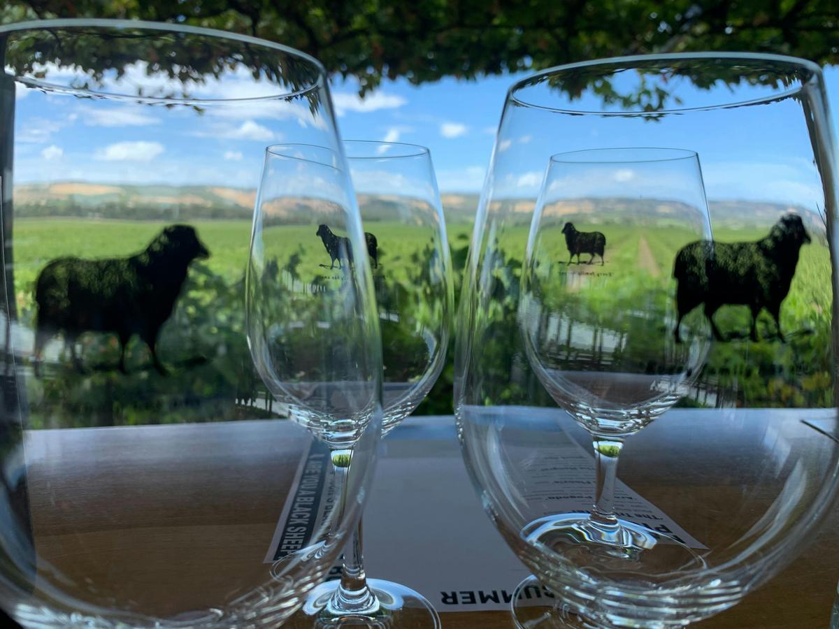 Wine tasting flight at Hugh Hamilton