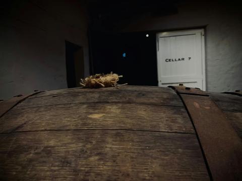 Wine Valley Tours - Hahndorf Day Tours