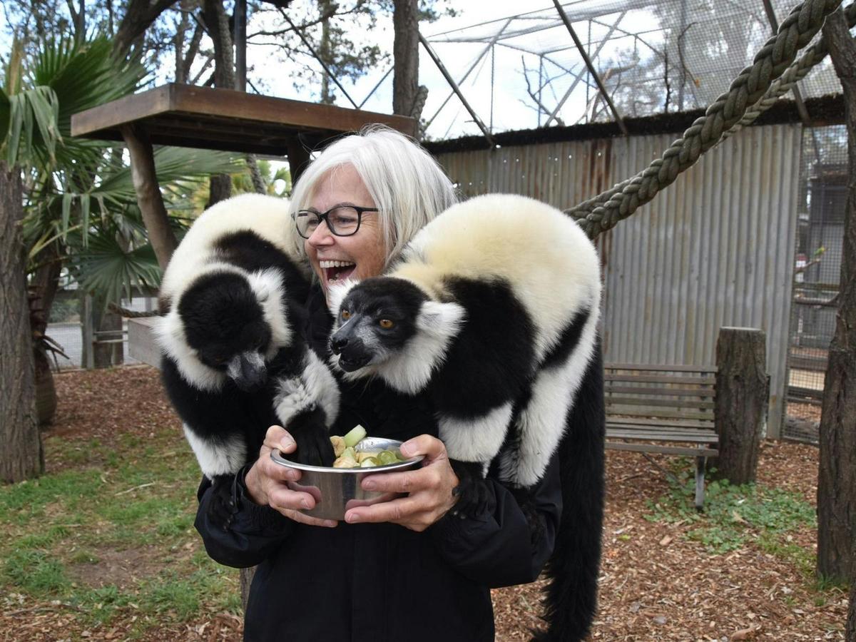 Get Closer to the Lemurs