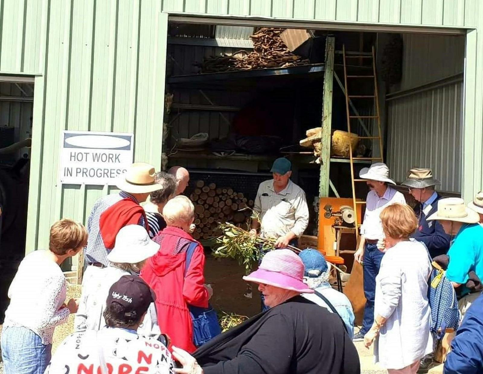 Eucalyptus Oil Production Demonstration