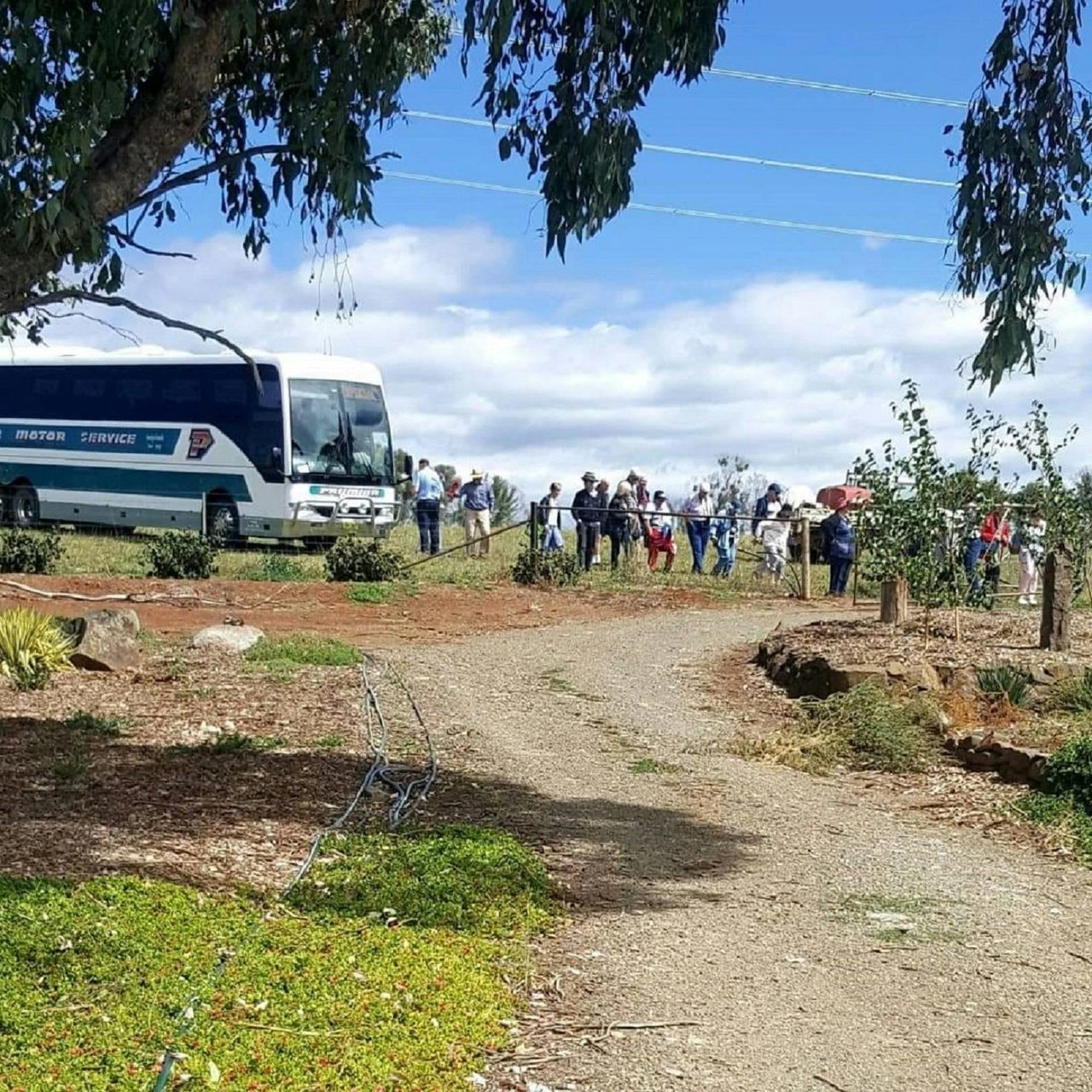 Insights Tours Arriving