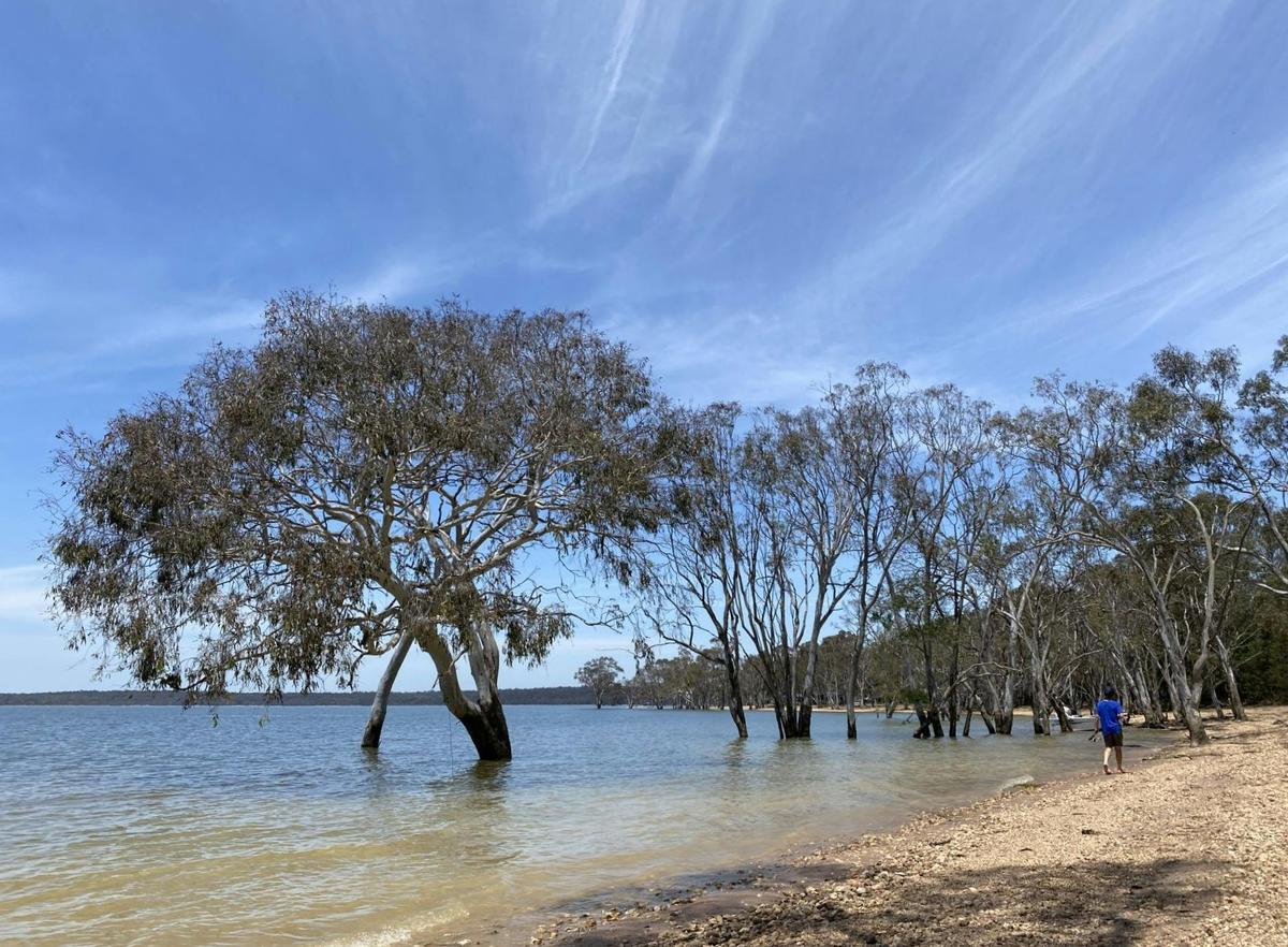 Lakeside Caravan Park Glenmaggie