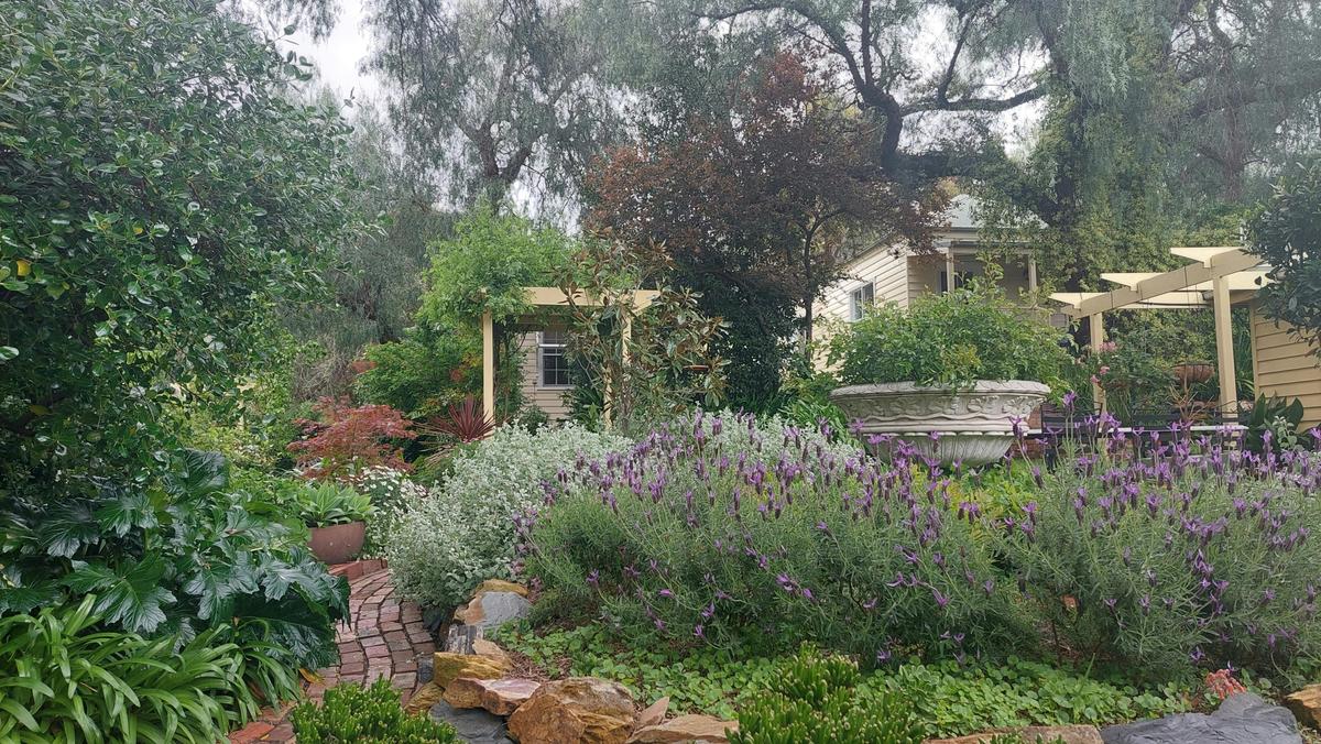 An oasis in Central Bendigo