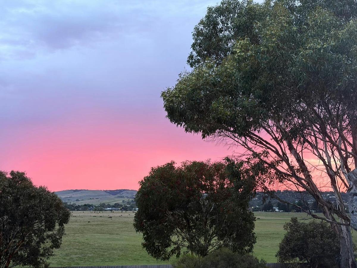 Tree House Couples Retreat - Villa 1 | The Shores Normanville