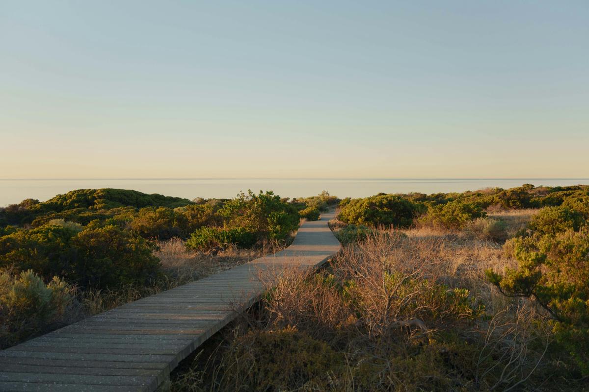 Tree House Couples Retreat - Villa 1 | The Shores Normanville
