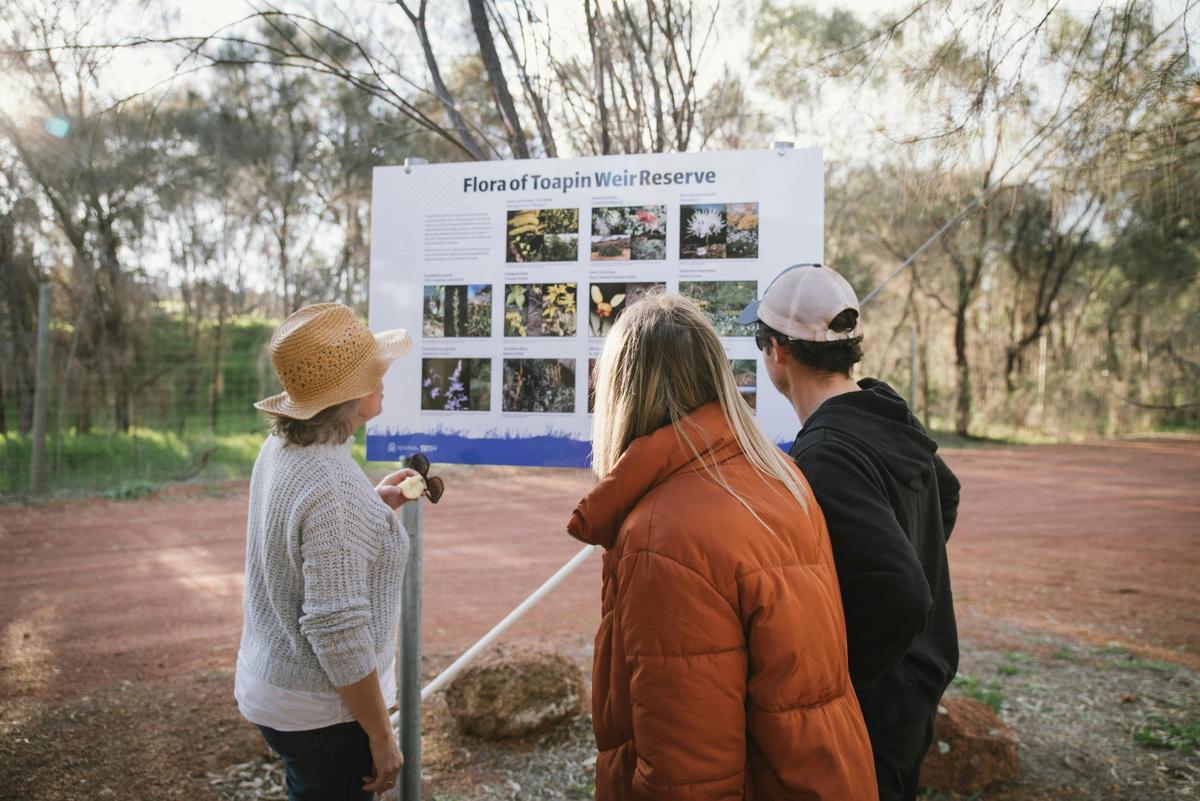 Toapin Weir Free Camp