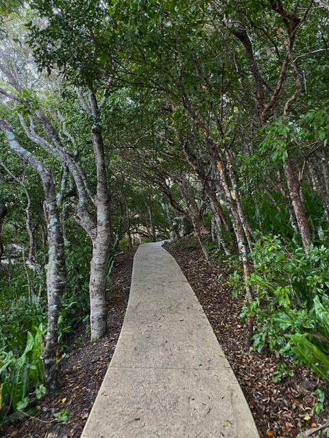 1770 Headland Walk and Talk