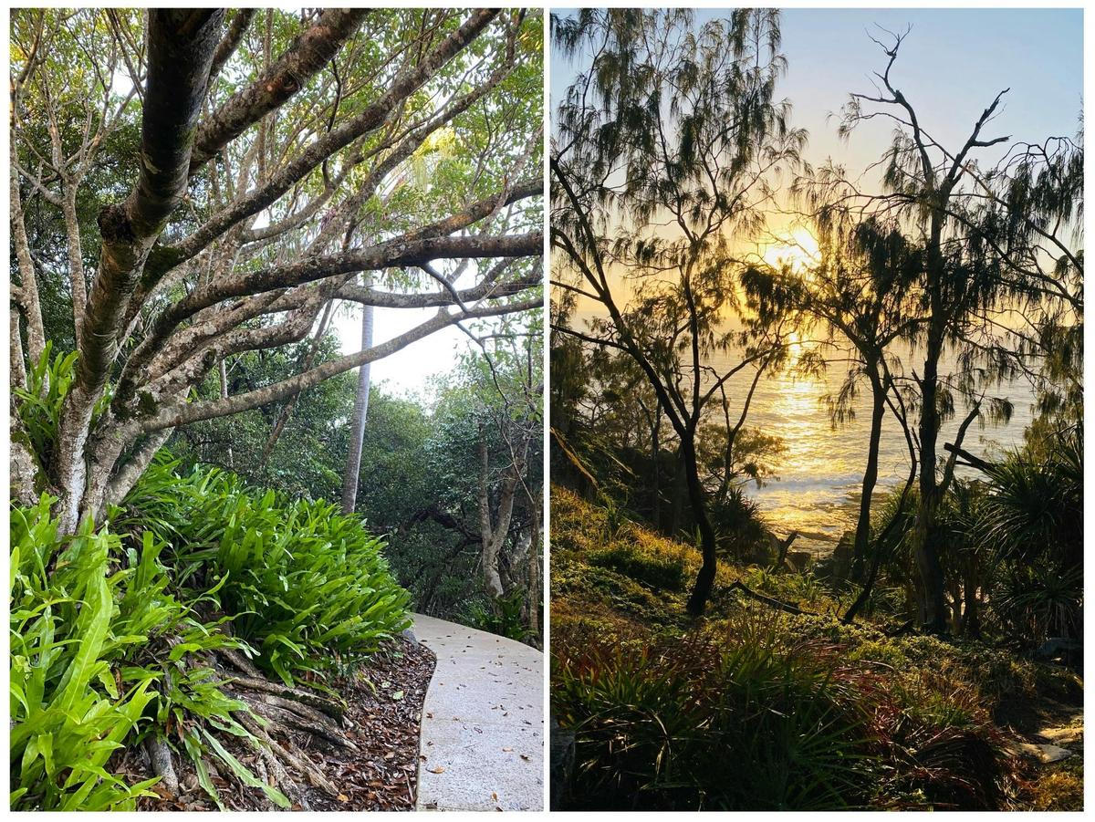 1770 Headland Walk and Talk