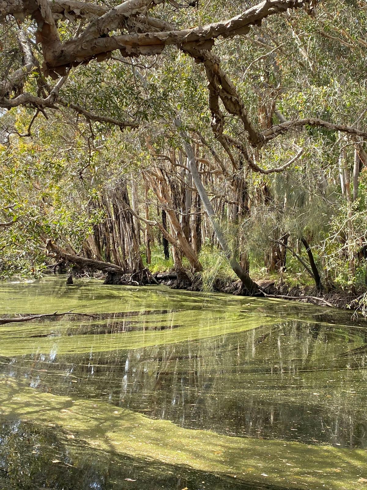 Deepwater National Park