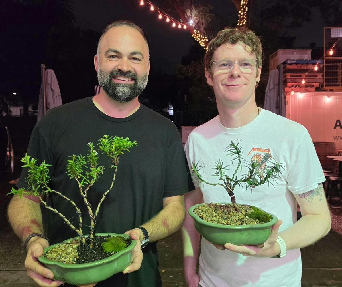 bonsai & brews finished
