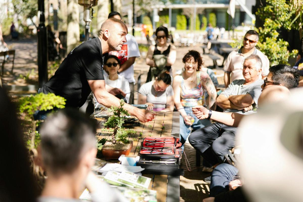 bonsai & brews workshop