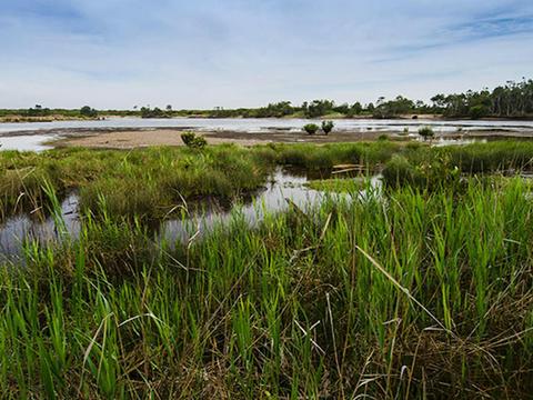 Towra Point Nature Reserve