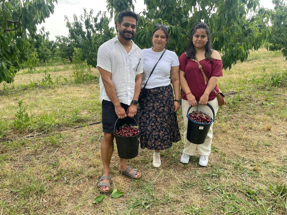 Family cherry picking