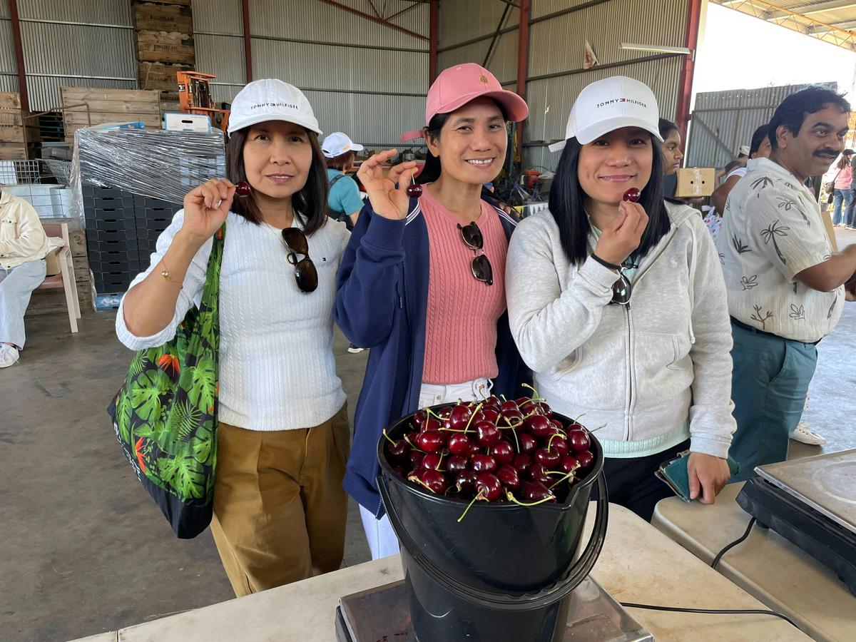 Happy Customers
