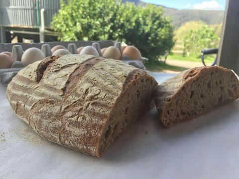 Traditional Bread Baking Workshop