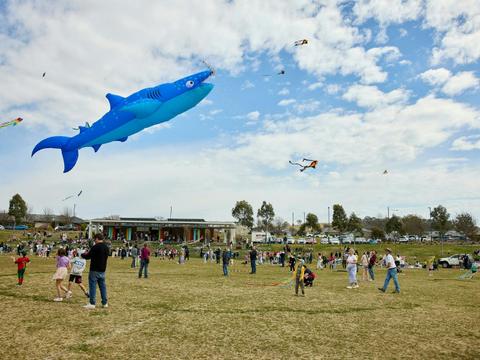 Kitefest