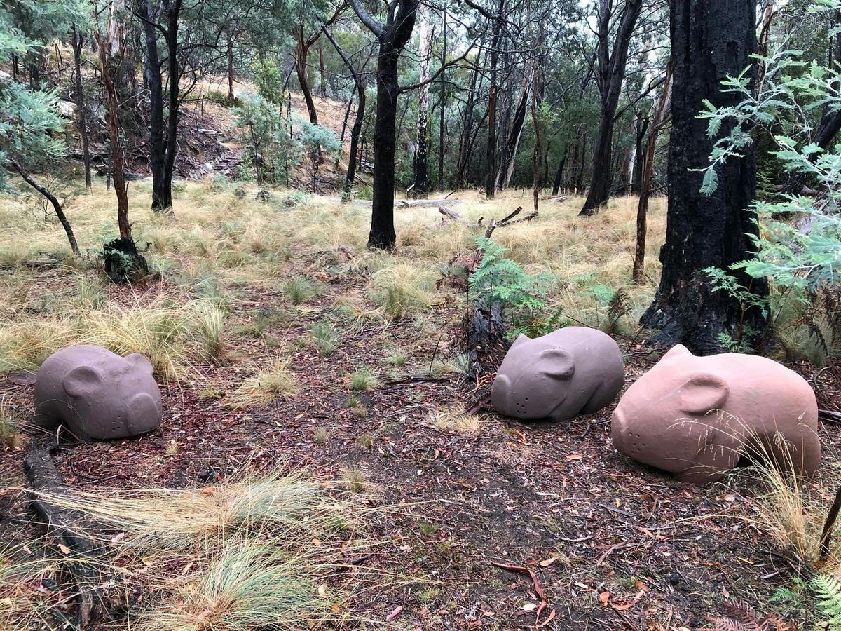 Wombat Walk