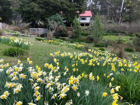 Chauncy Vale Wildlife Sanctuary