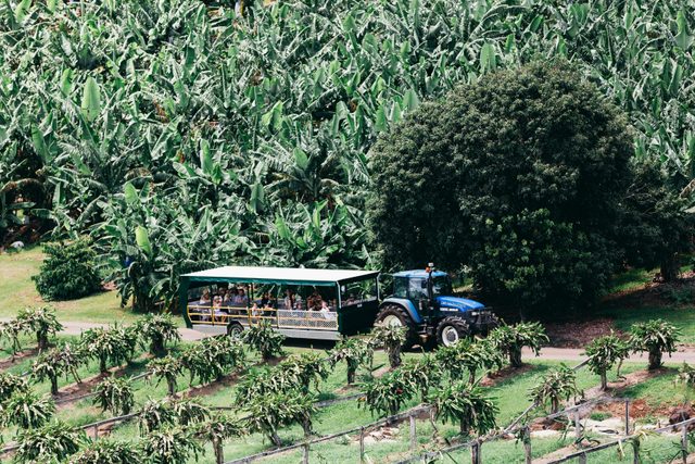 Tropical Fruit World